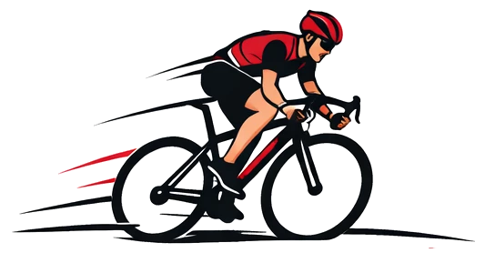 <i class='fas fa-bicycle mr-3'></i>